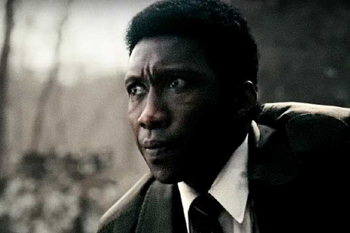 Mahershala Ali's Wayne Hayes looks skeptical in True Detective
