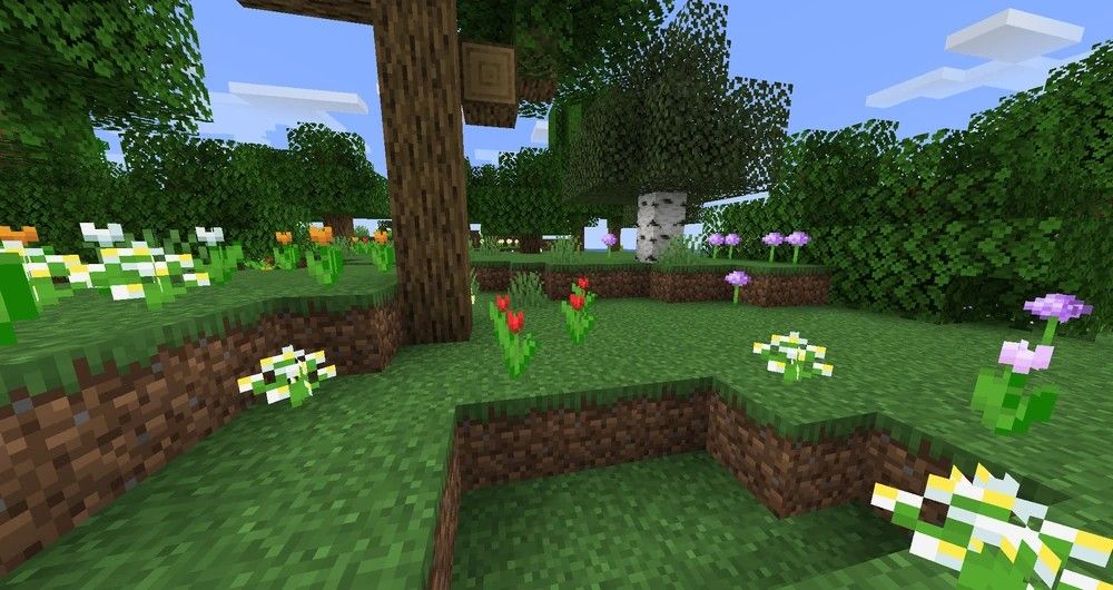 Minecraft forest scene surrounded by trees