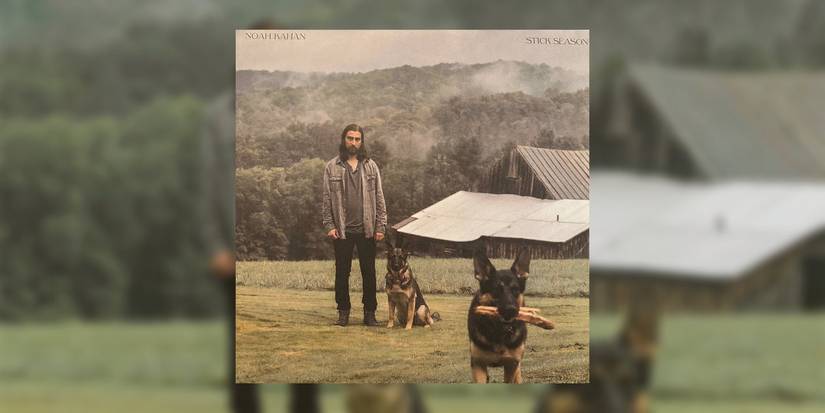 This album cover shows a man in black pants, a gray shirt, and a lighter grey coat. He's standing on a grassy field with two German Shepherd dogs, one that's closer to the frame holding sticks in it's mouth. There's what appears to be a farmhouse in the background along with a low-covered forest and sky.