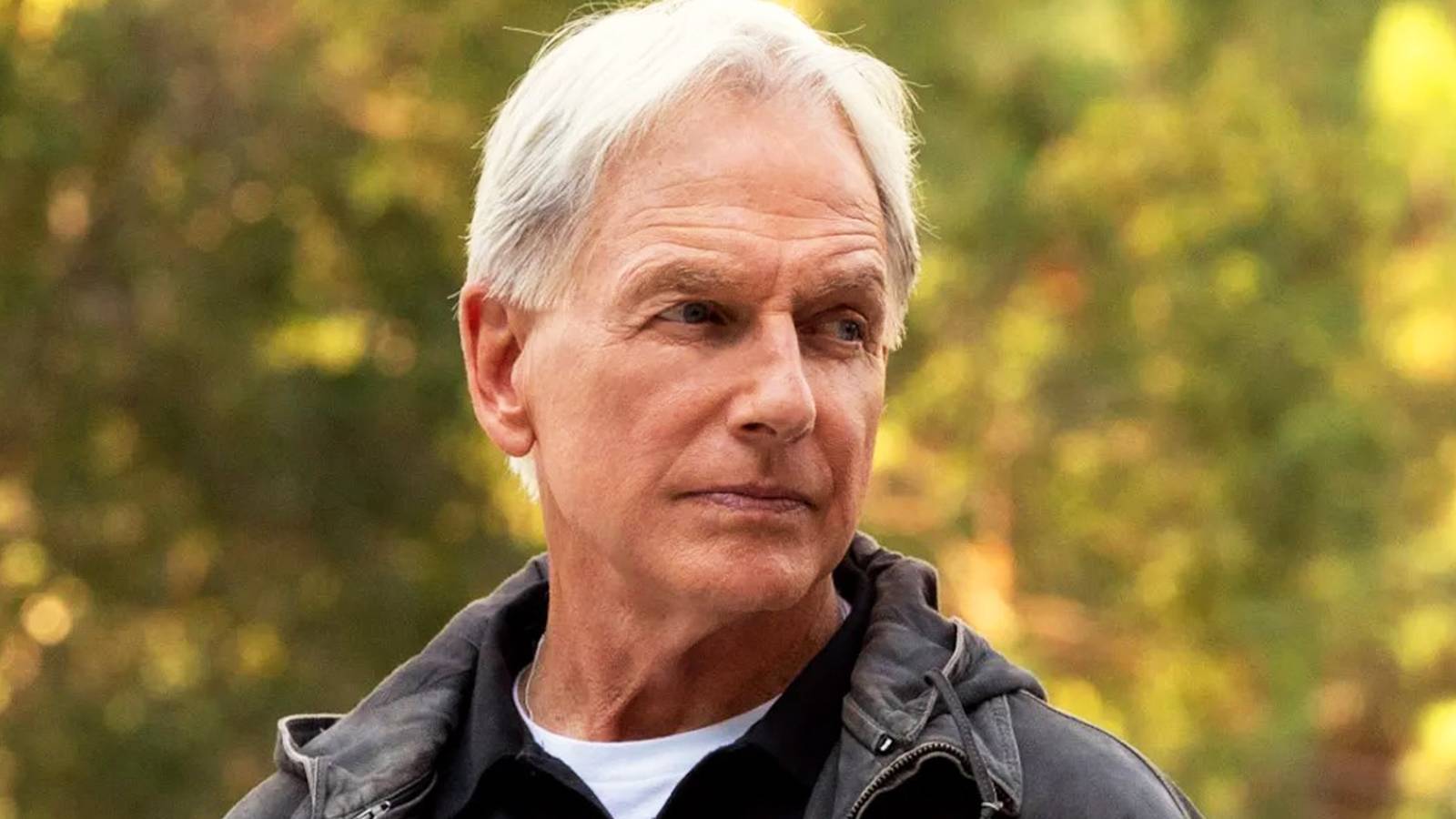 One Character Death In NCIS Origins Could Be The Key To Mark Harmon