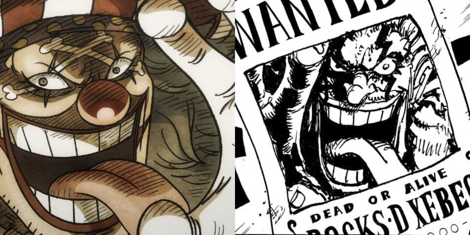 A comparison between Buggy and Rocks