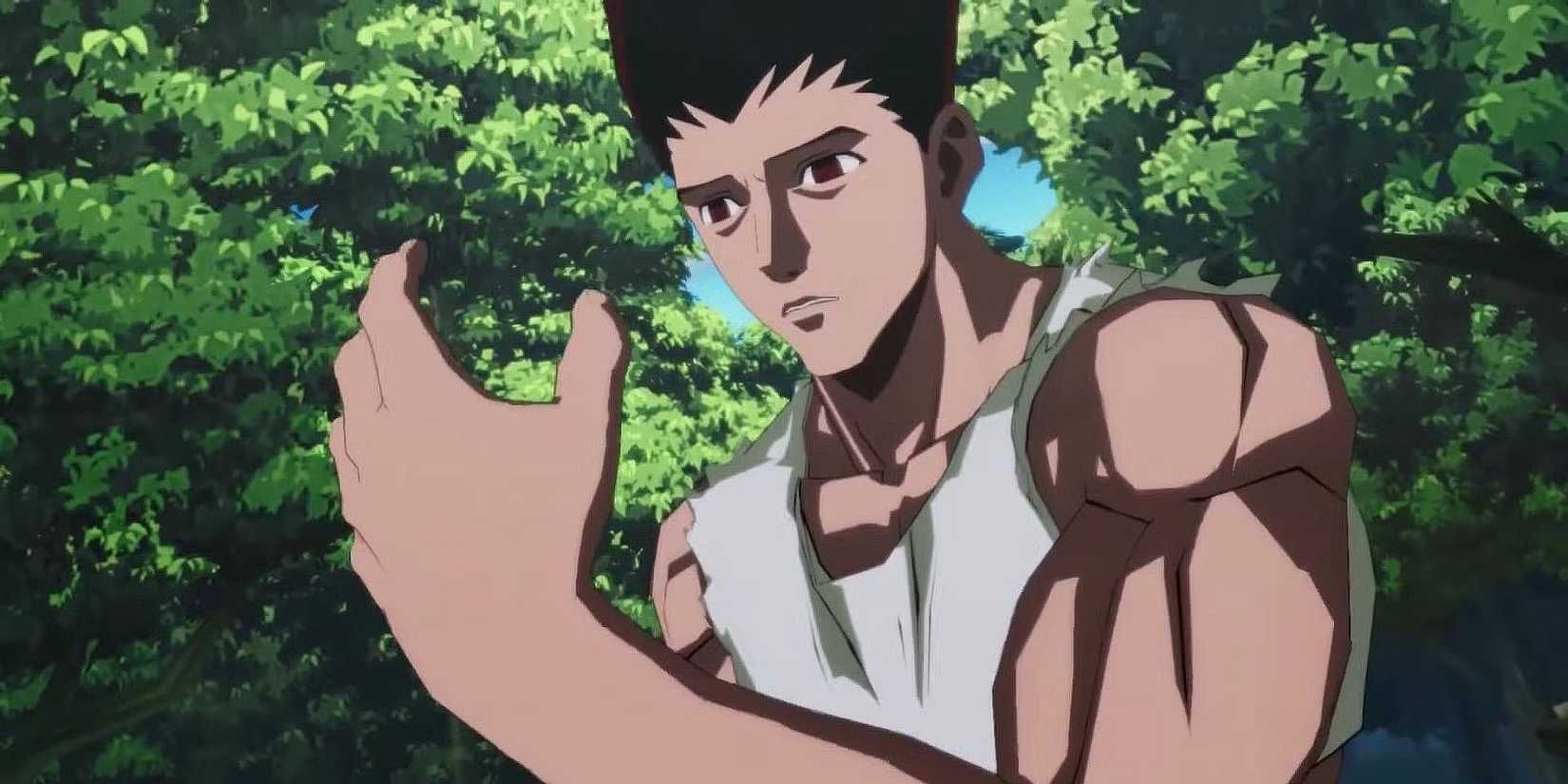 Why Does Hunter x Hunter Go on Hiatus So Often? Here’s the Real Reason