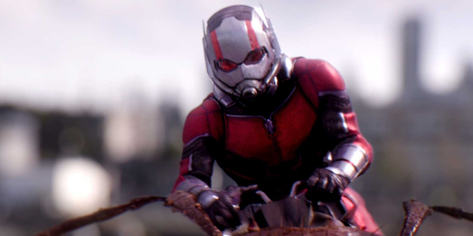 Scott Lang reitet in „Ant-Man and the Wasp“ auf einer Ameise