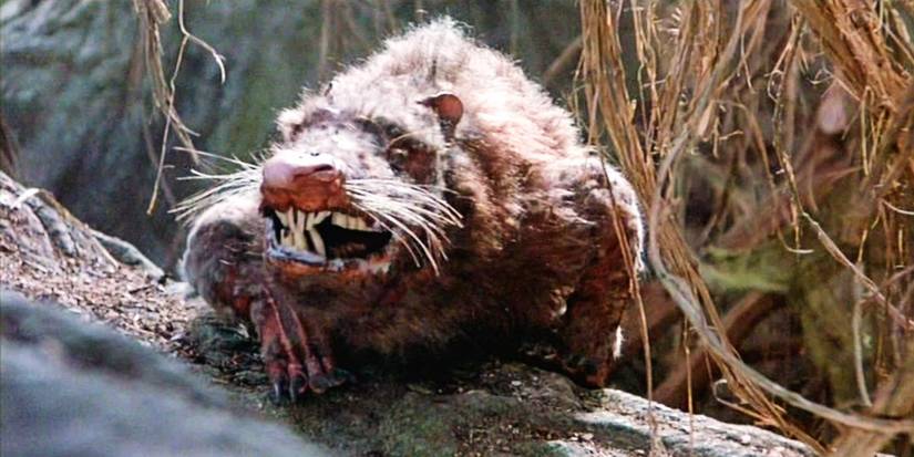 The Swamp Rat snarls on a log in The Princess Bride