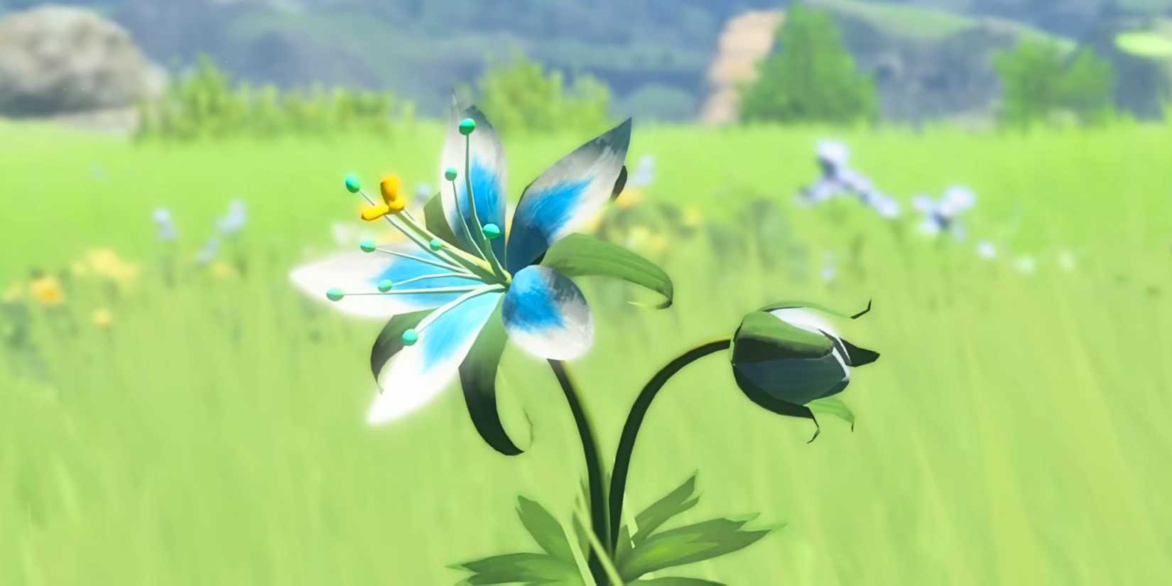The Silent Princess flower in The Legend of Zelda Breath of the Wild