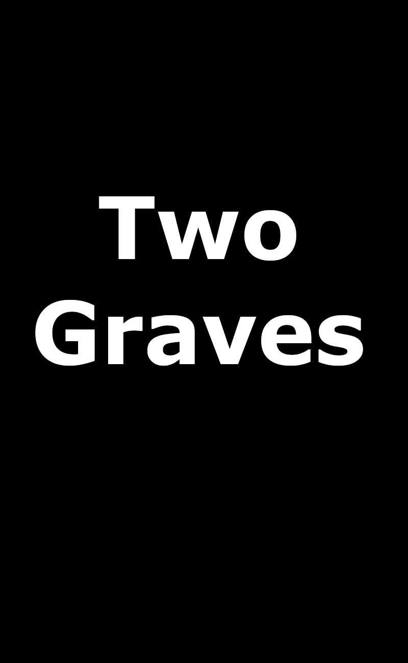 Two Graves Upcoming Netflix Series Logo Placeholder
