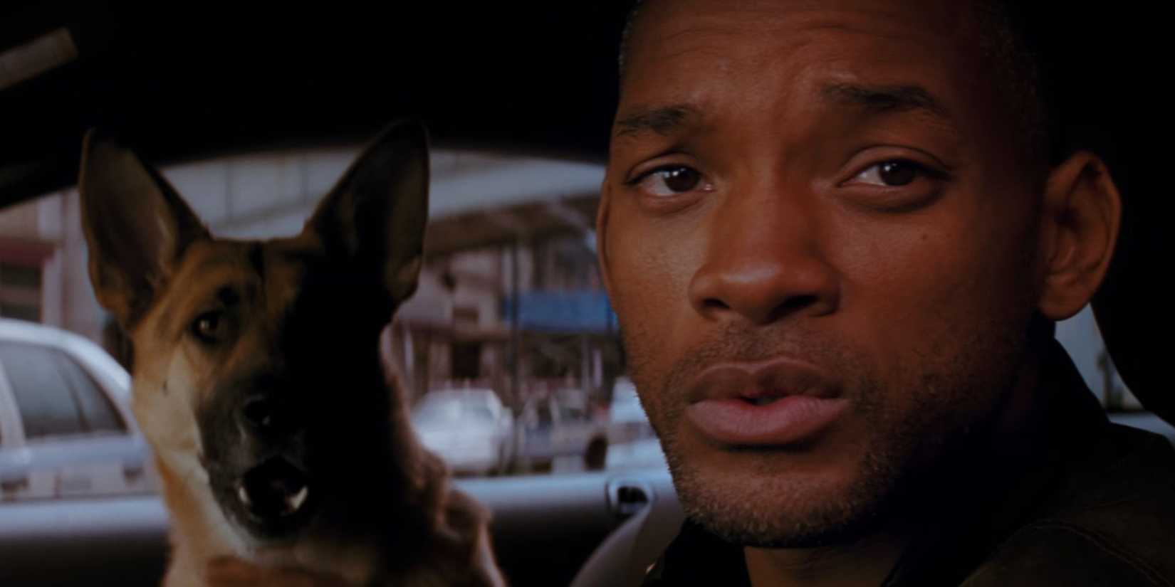 Will Smith como Dr. Robert Neville com Sam em I Am Legend