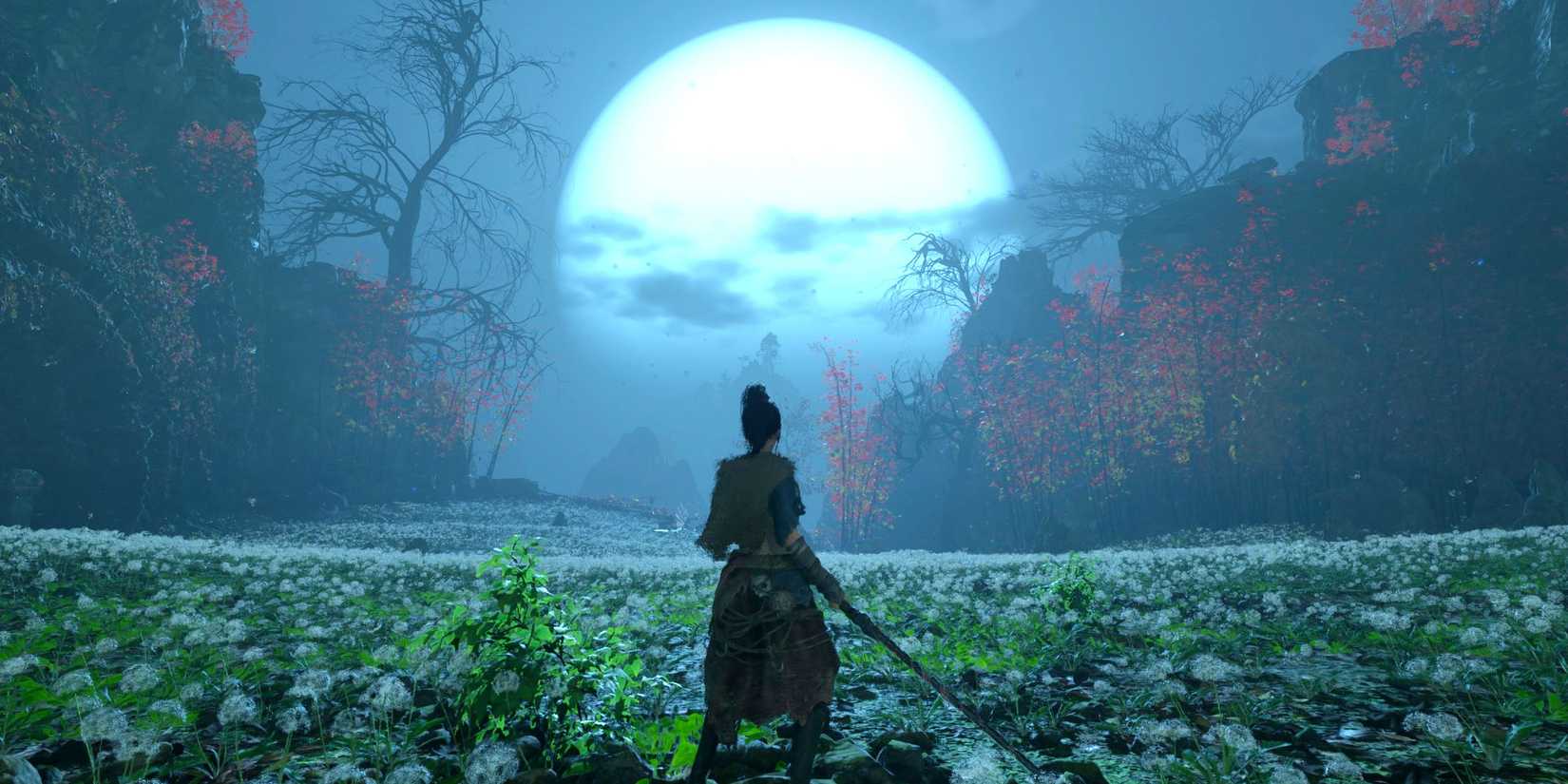 Wuchang Fallen Feathers field in moonlight