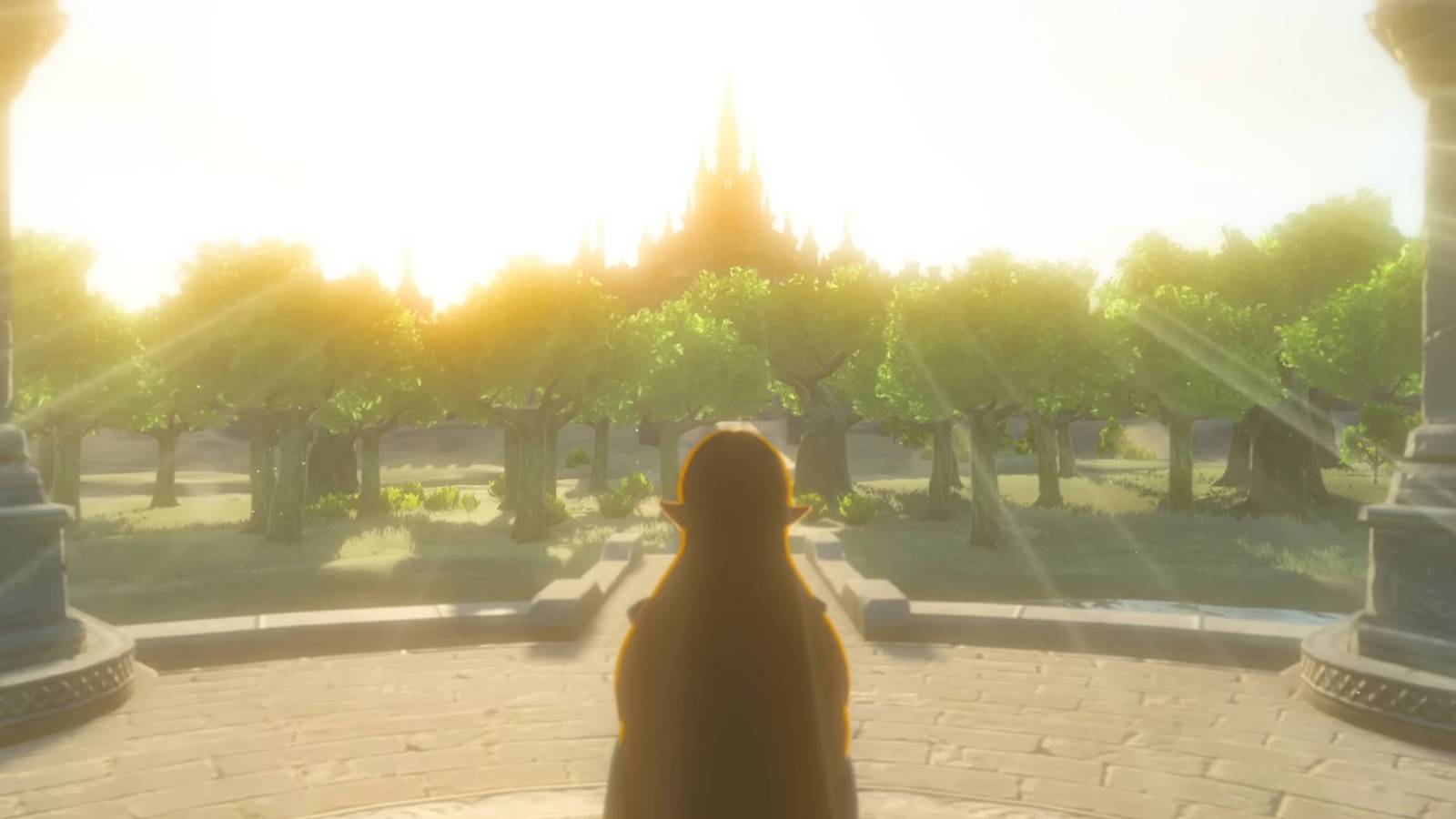 Zelda facing trees and Hyrule castle in the distance in The Legend of Zelda_ Breath of the wild
