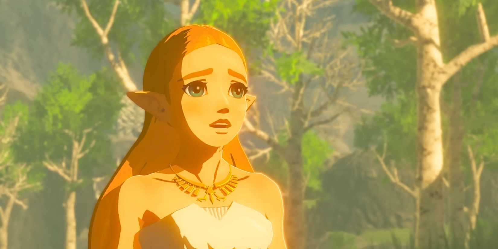 Zelda looking concerned in a forest in Breath of the Wild