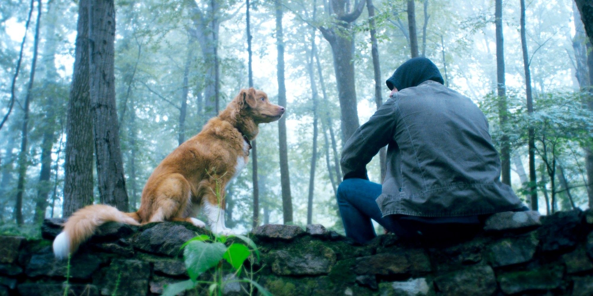 Shudder's New Good Boy Trailer Dials Up Anxiety