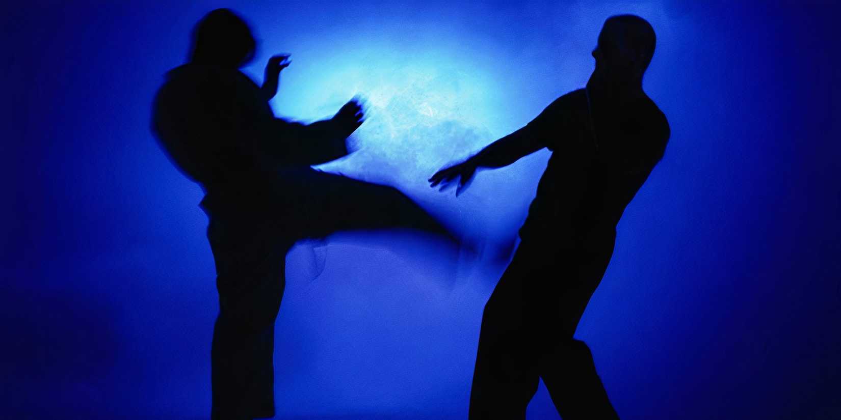 8 Martial Arts TV Shows That Outshine Movies