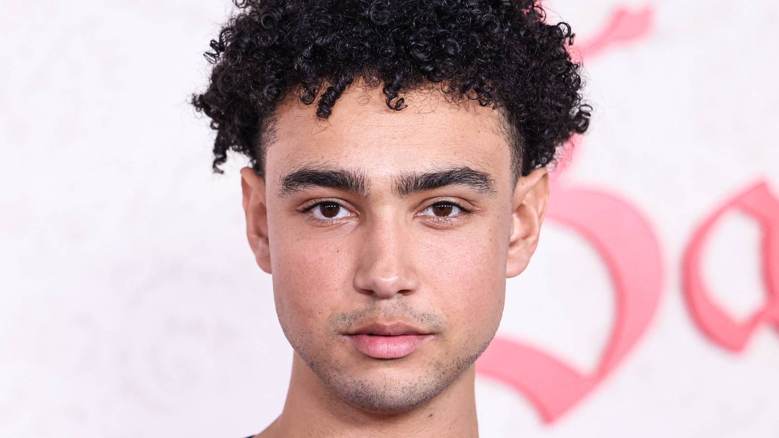 Lurker A Psychological Thriller Exploring the Dark Side of Fame and