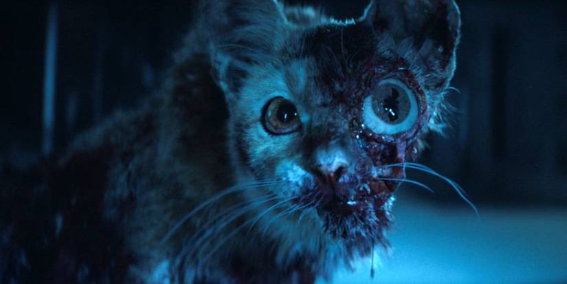 A cat infected with T. Ocellus in its bloody eye socket in Alien: Earth season 1, episode 2