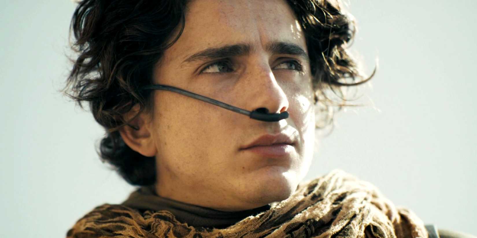 Close-up of Timothée Chalamet looking into the distance as Paul Atreides in Dune Part Two