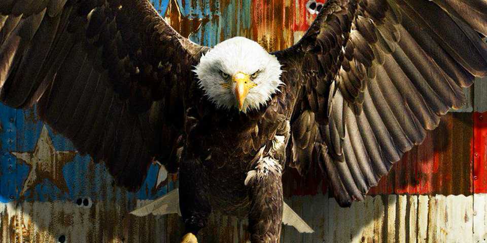 Eagly in DCU Peacemaker