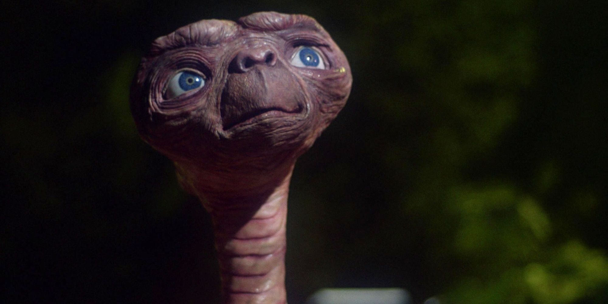 E.T. guarda verso il cielo in una scena dal film