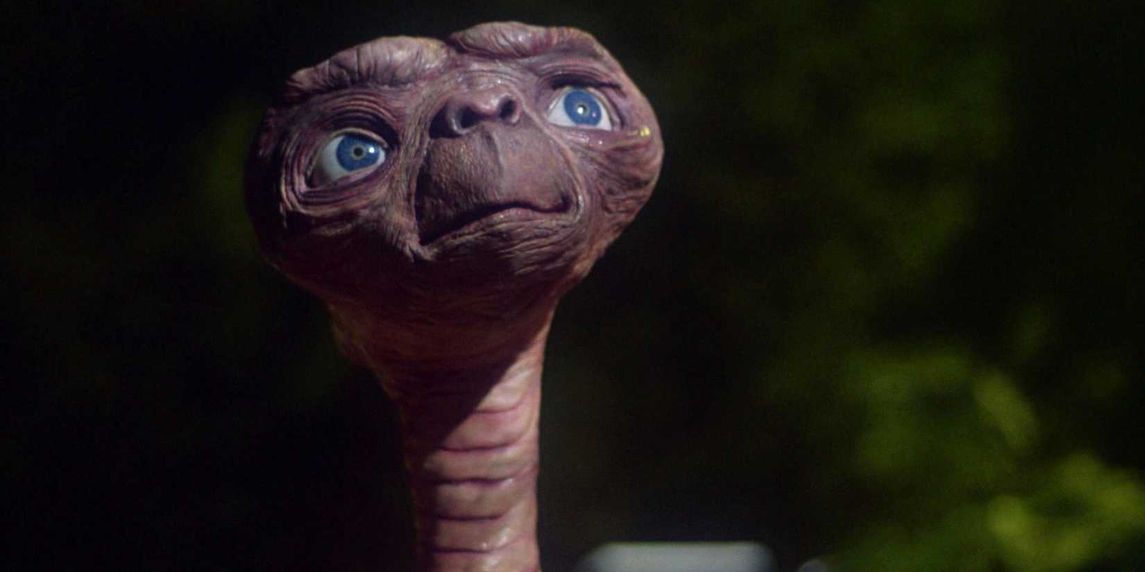 E.T. gazes skyward with hopeful anticipation in a scene from E.T.
