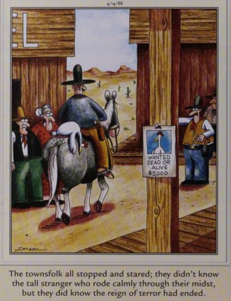 Far Side, April 14, 1988, a cowboy rides into town with a wanted chicken on his horse