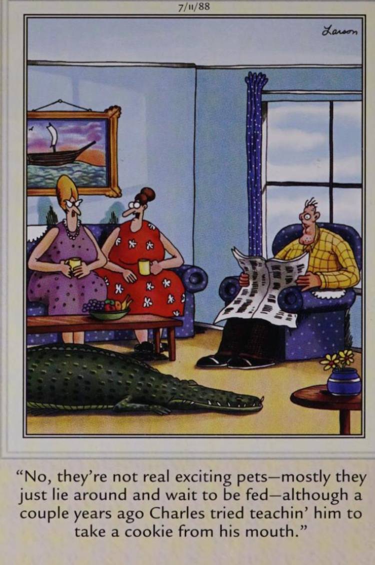 Far Side July 11, 1988, a man missing half his face has an alligator as a pet