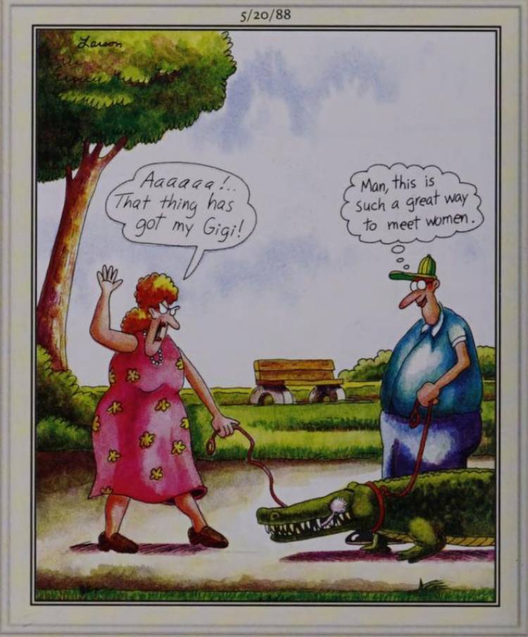 Far Side, May 20, 1988, a man's pet alligator eats a woman's poodle