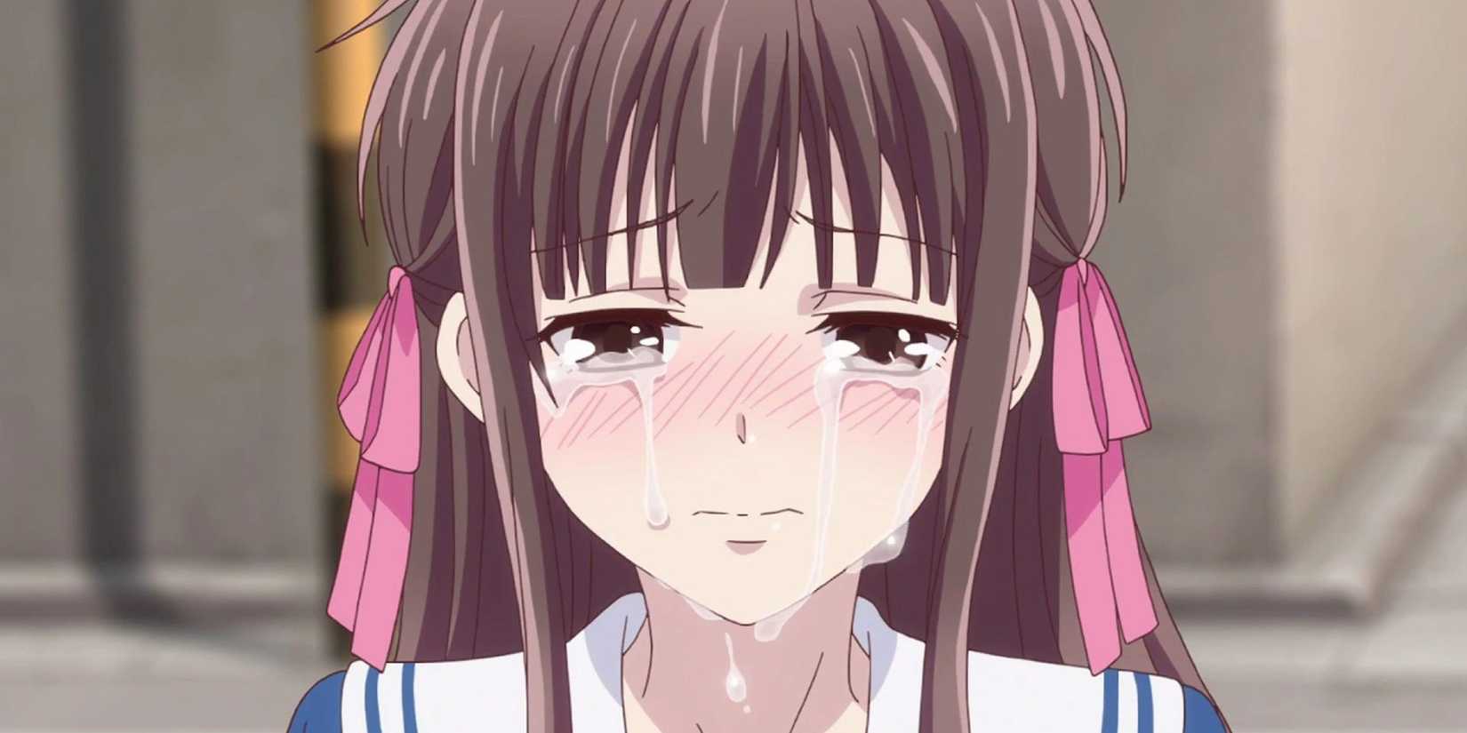 Fruits Basket Tohru Crying