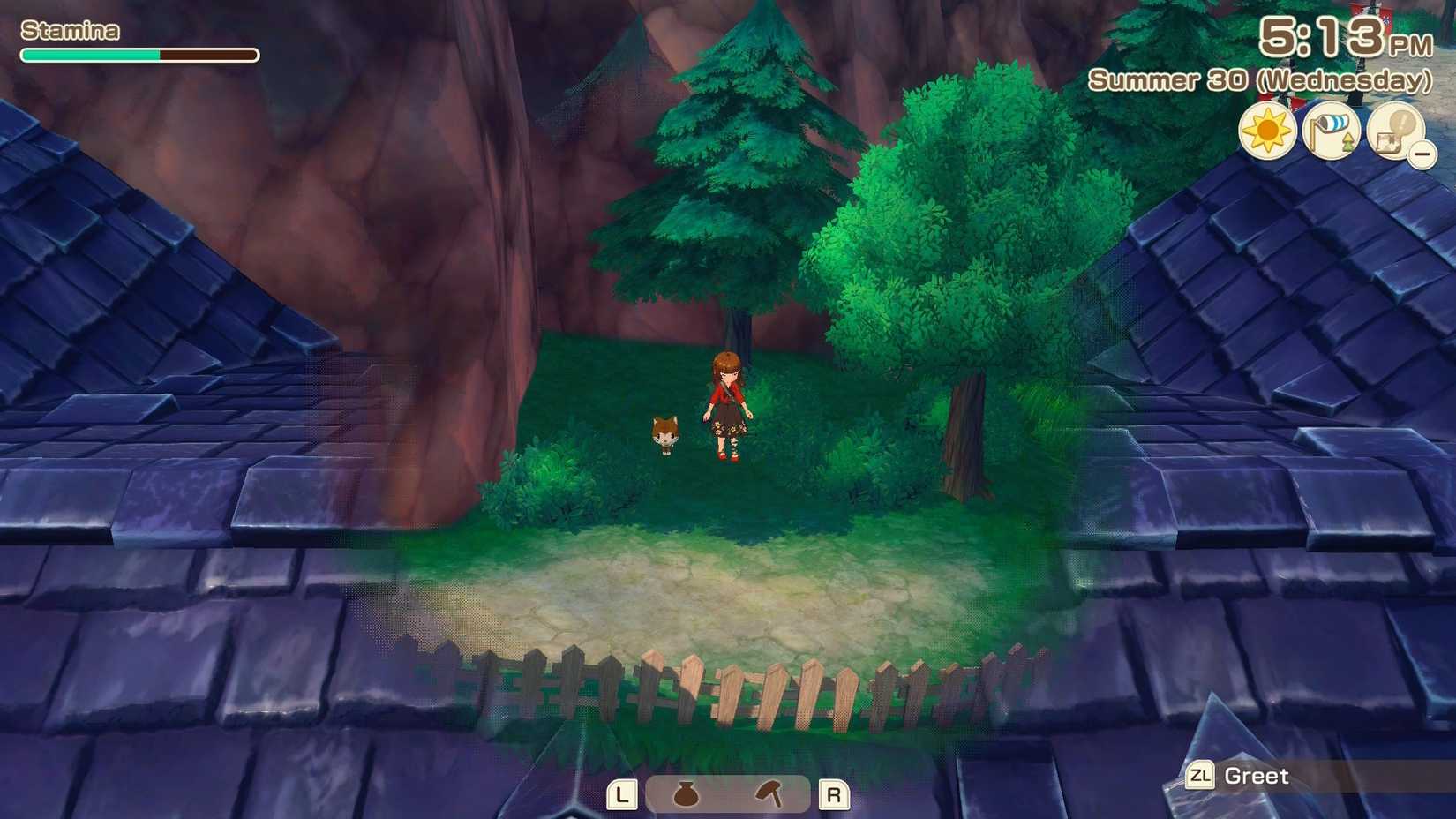 Samir Cat Finding Samir's Cat In Story of Seasons: Grand Bazaar