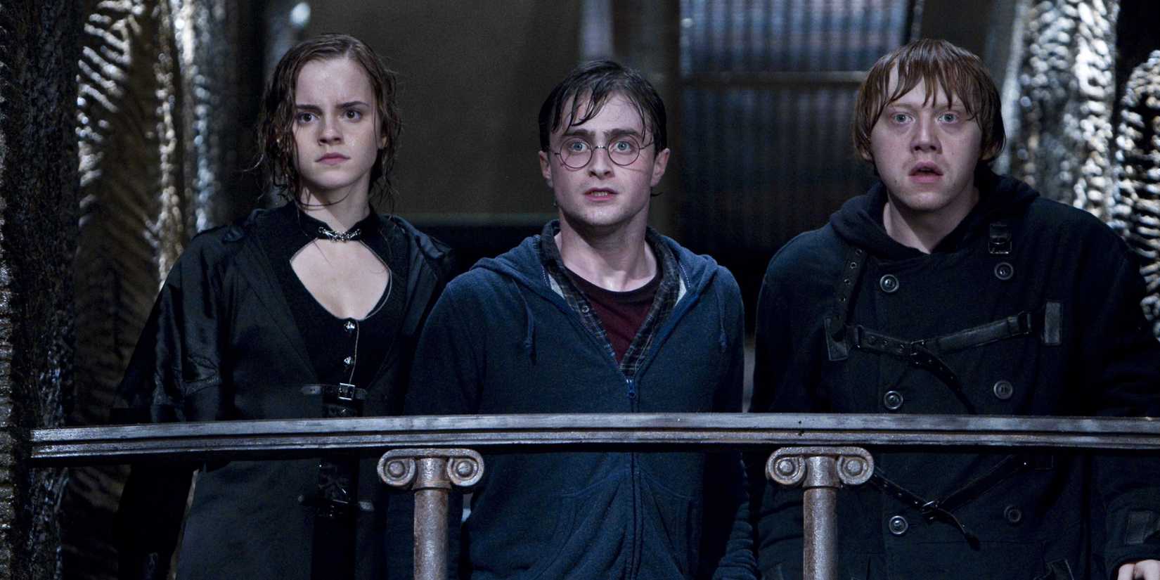 Harry Ron and Hermione in the Chamber of Secrets in Deathly Hallows Part 2(1)