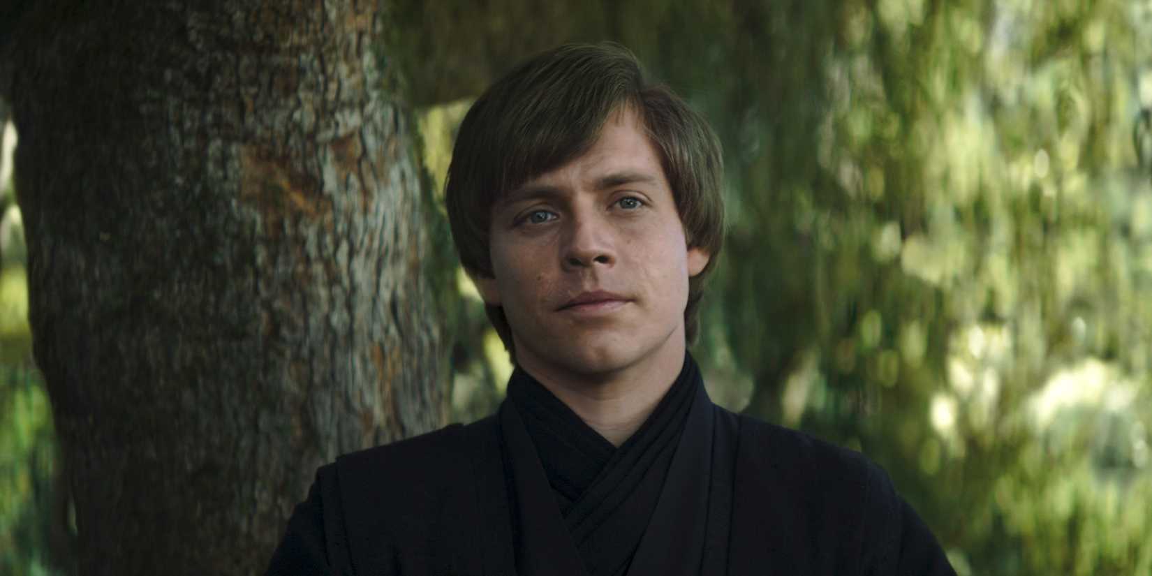 Luke Skywalker in The Book of Boba Fett
