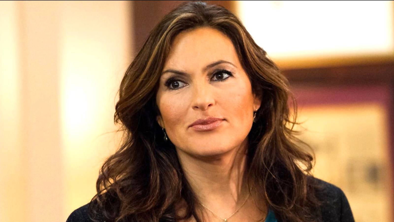 Everything You Need To Remember Before Law & Order: SVU Season 27