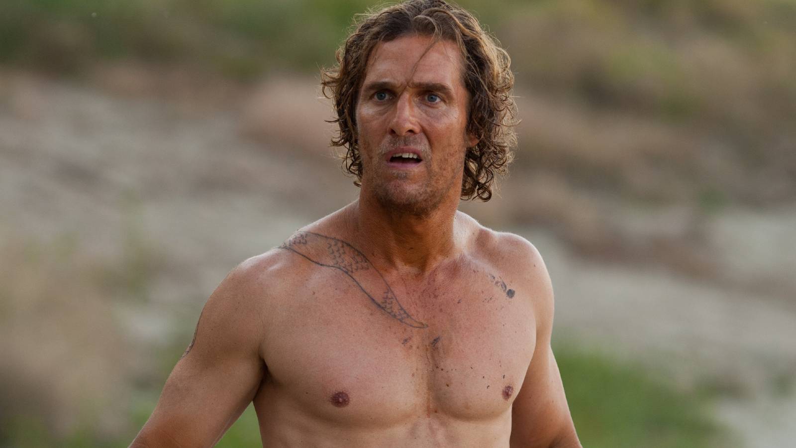 Matthew McConaughey's New Show: Why It's More Exciting Than A Yellowstone  Spinoff