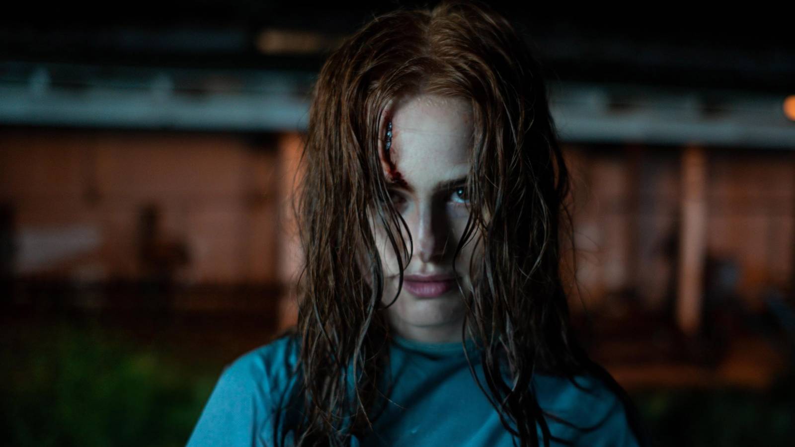 The Strangers - Chapter 2 Debuts With 25% Rotten Tomatoes Score