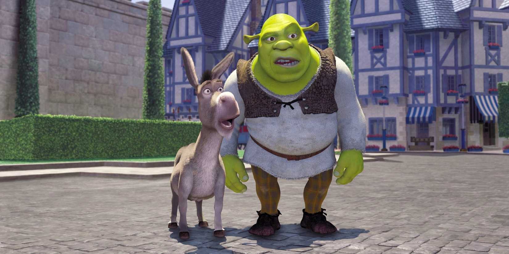 Shrek and Donkey looking confused in Shrek