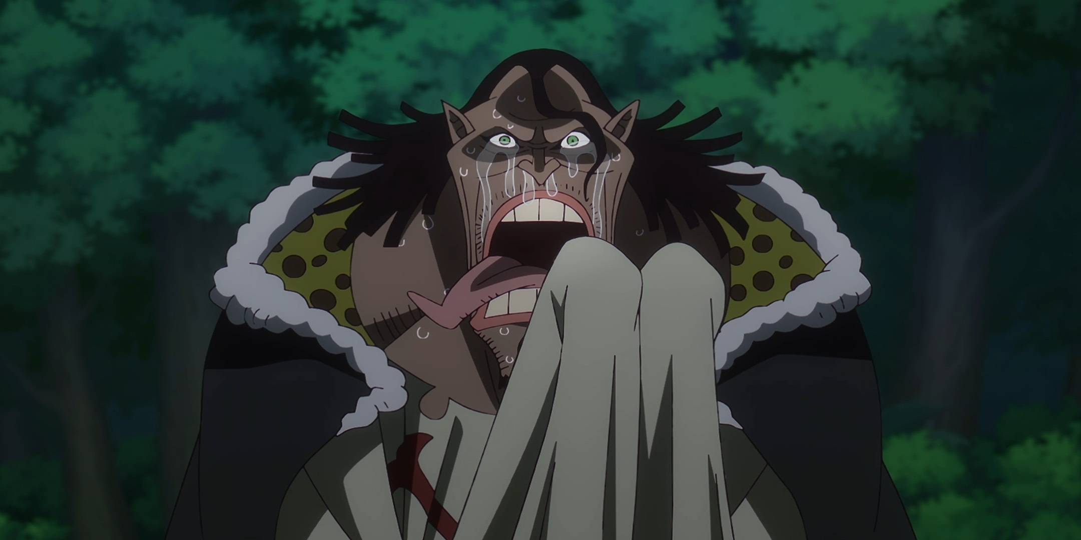 One Piece: What Makes Sanji Such a Divisive Character Among Fans?