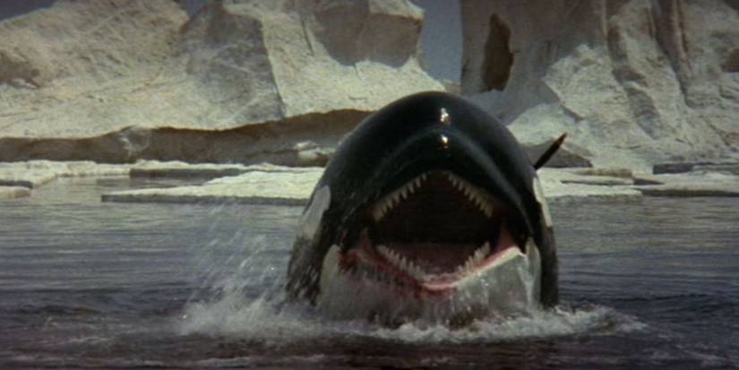 The Jaws Ripoff That Became A Cult Classic 48 Years Later