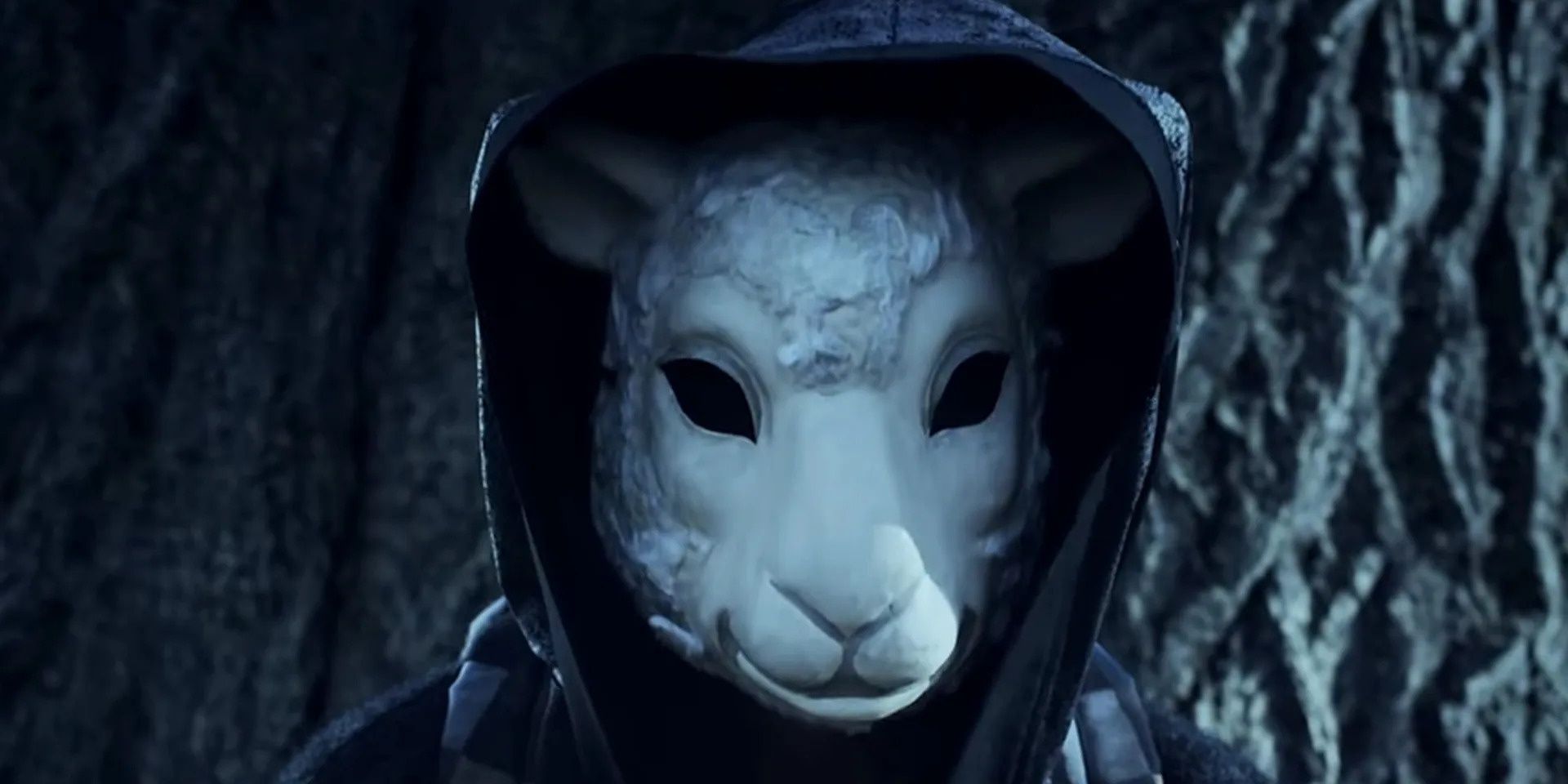 Orphan Black Resurgence: Cult Sci-Fi Hit Surges On Netflix