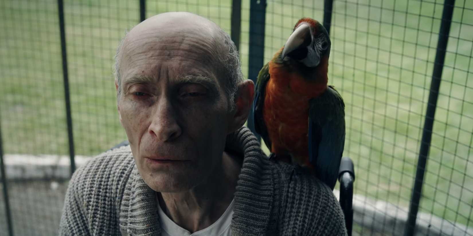 Tim Burton's Hidden Voice Cameo in Wednesday Season 2, Episode 4 Revealed