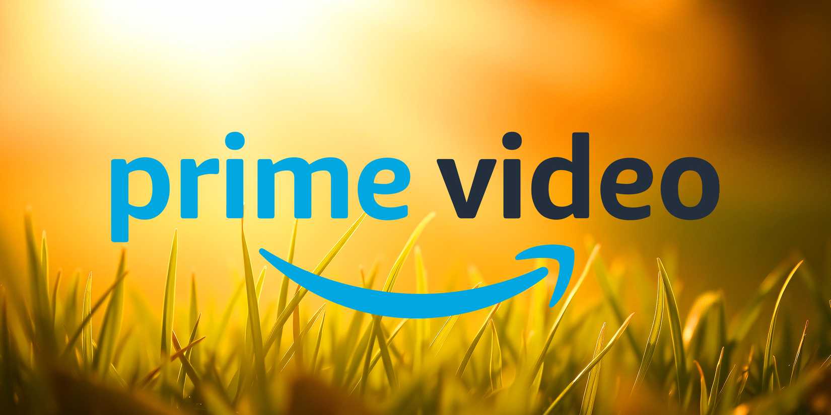 Logo Prime Video di rumput musim panas
