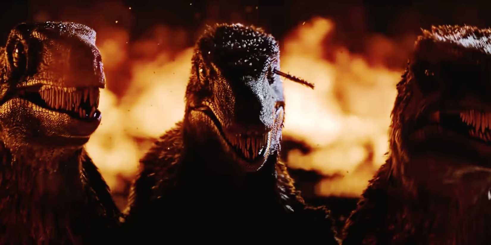 Три велоцираптора, выглядящие угрожающе в "Primitive War"