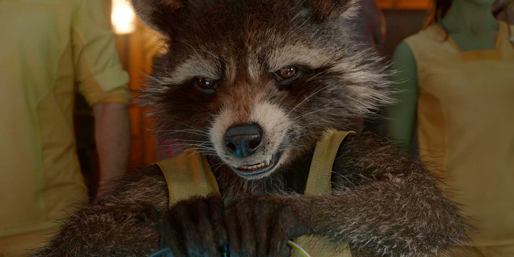 Rocket Raccoon looking off-screen in Guardians of the Galaxy