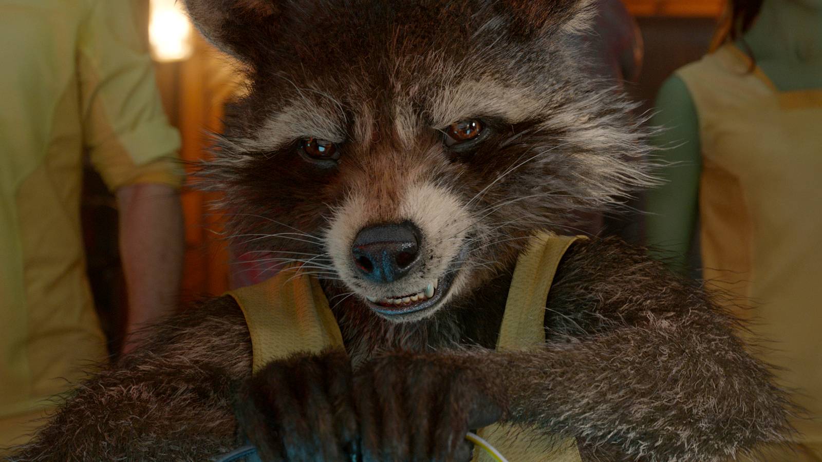 The DCU Just Gave Us It’s Own Rocket Raccoon In The Most Messed Up Way ...
