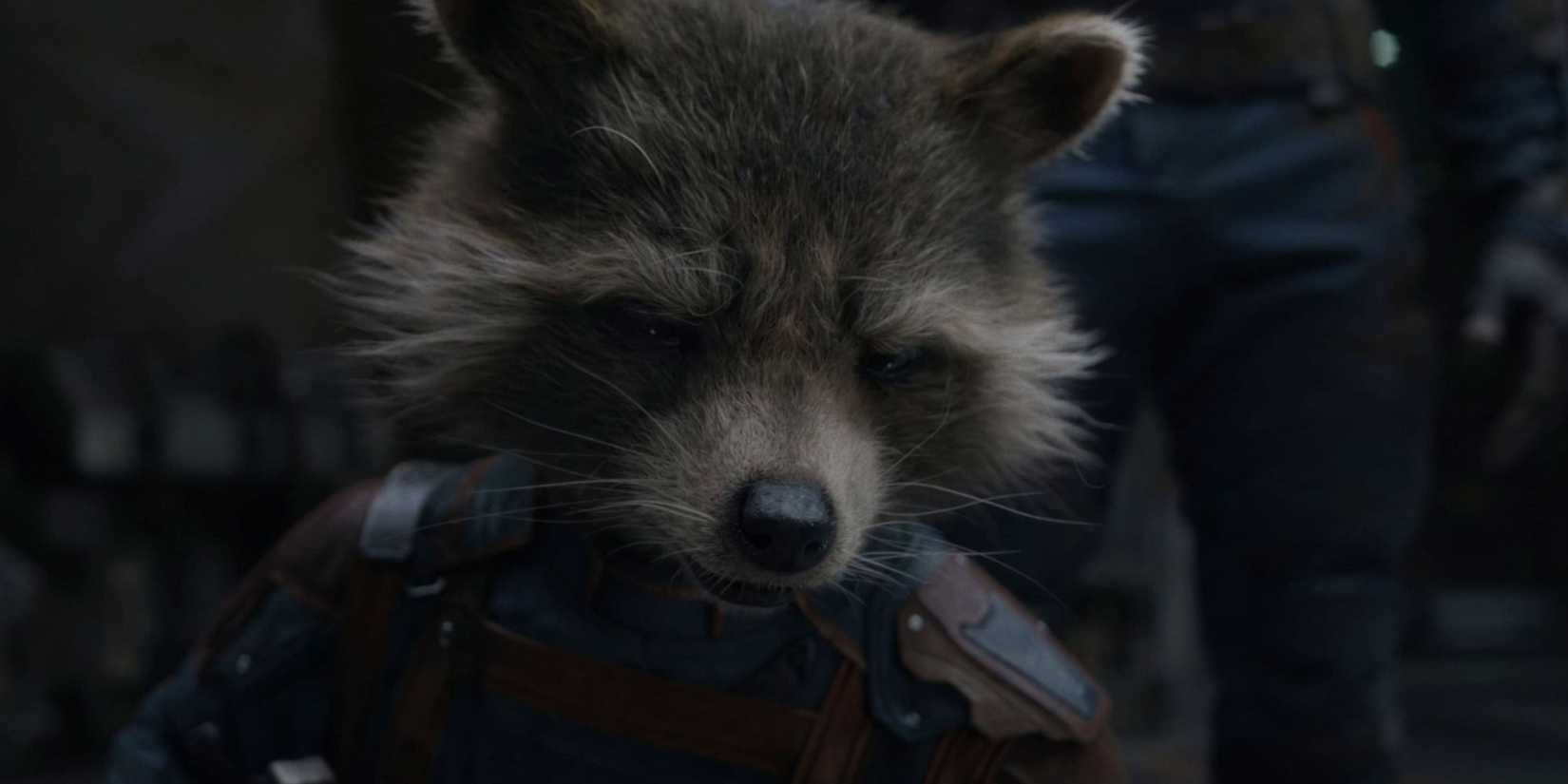 Rocket Raccoon olhando para baixo em Guardiões da Galáxia Vol. 3 (2024)