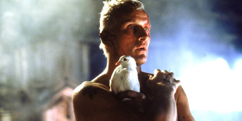 Roy Batty (Rutger Hauer) holding a bird in Blade Runner 1982