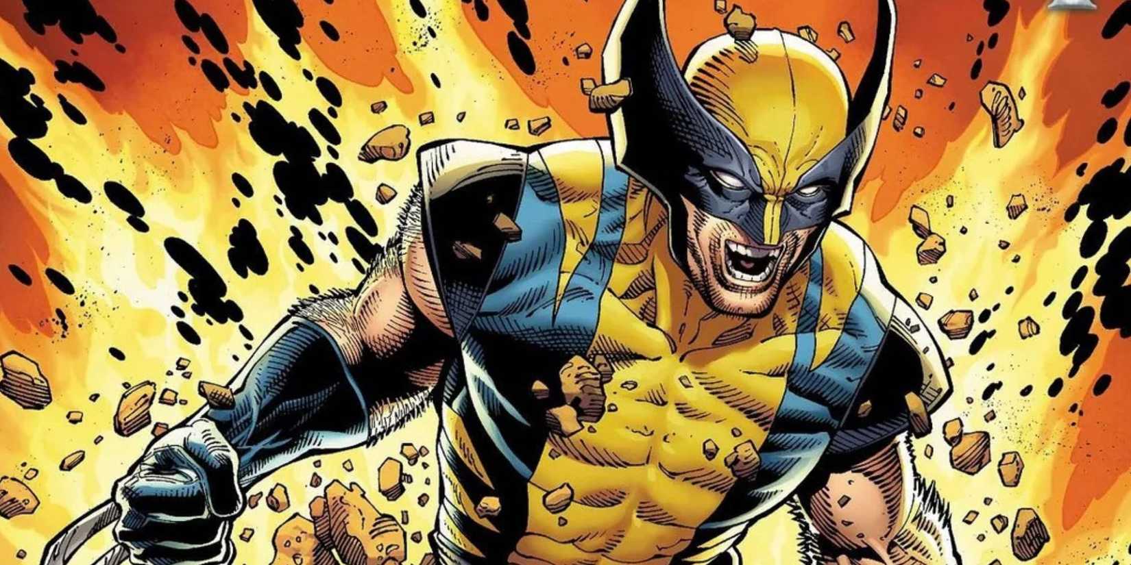 Wolverine from Marvel Comics 