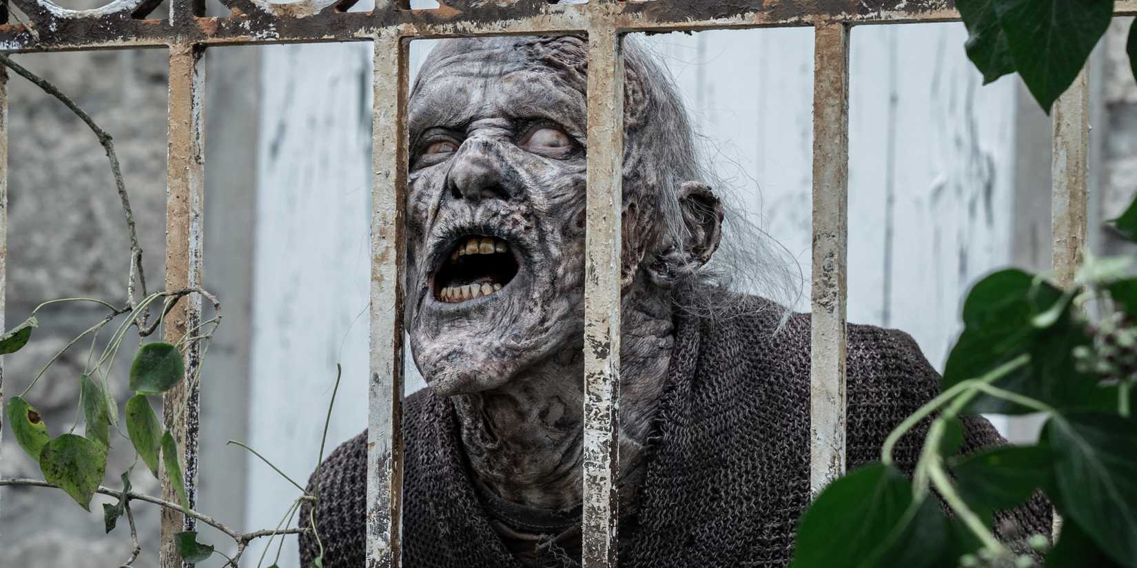 a zombie stuck behind some railing in the walking dead