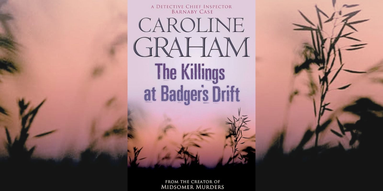 Copertina de The Killings At Badger’s Drift