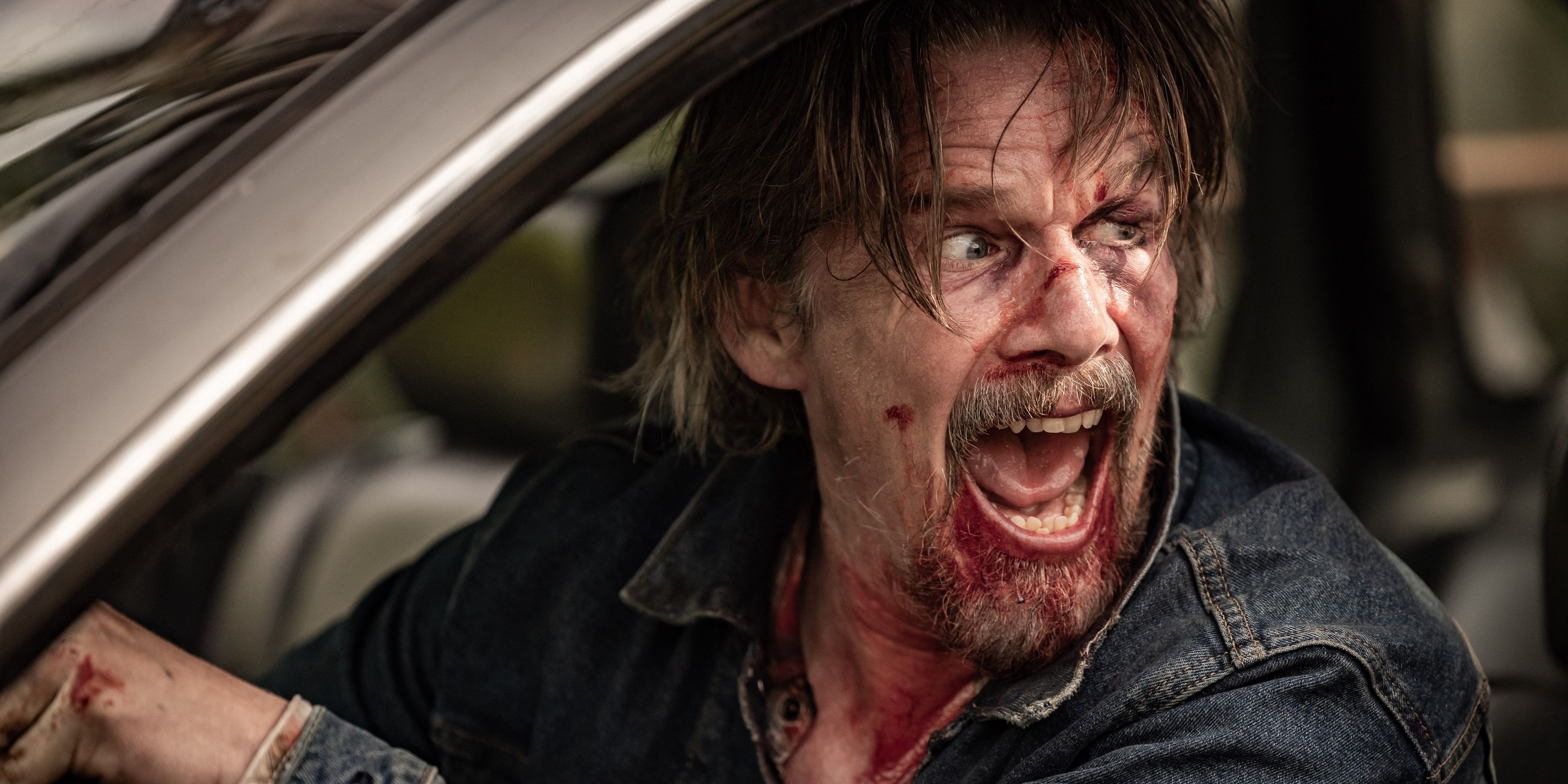 Ethan Hawke's The Lowdown Earns Near-Perfect Rotten Tomatoes Score