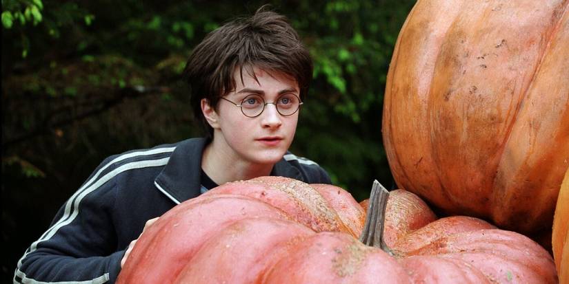 Harry espiando atrás de algumas abóboras em O Prisioneiro de Azkaban