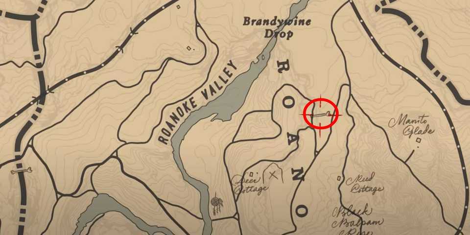 Red Dead Redemption 2 Dinosaur Bone #9 location in Roanoke Ridge area