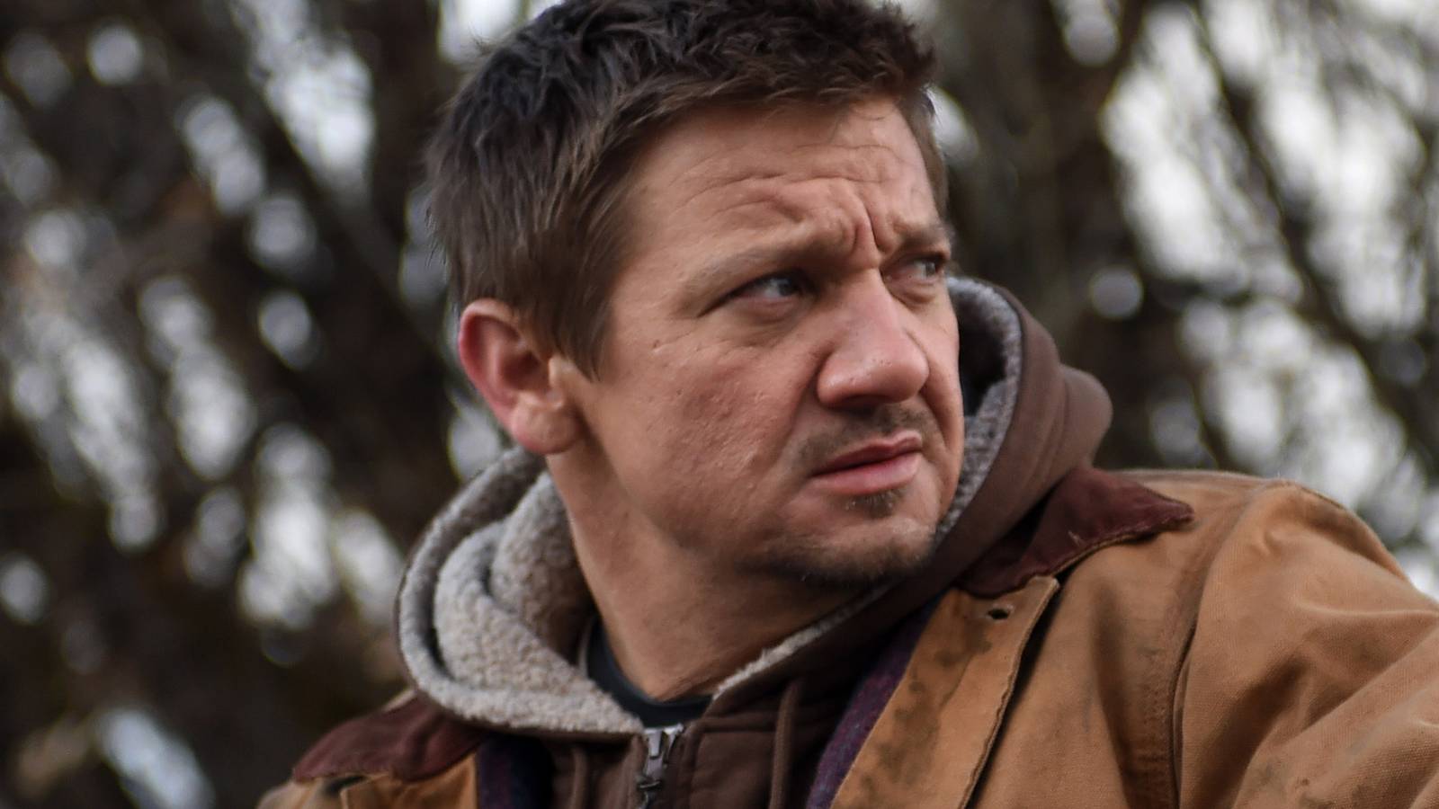 Jeremy Renner in Wind River